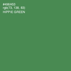#498A53 - Hippie Green Color Image