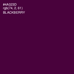 #4A023D - Blackberry Color Image