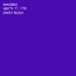 #4A0BB0 - Daisy Bush Color Image