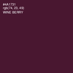 #4A1731 - Wine Berry Color Image