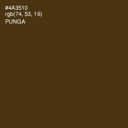 #4A3510 - Punga Color Image