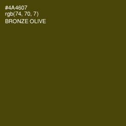 #4A4607 - Bronze Olive Color Image