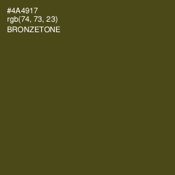#4A4917 - Bronzetone Color Image