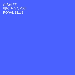 #4A61FF - Royal Blue Color Image