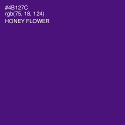 #4B127C - Honey Flower Color Image