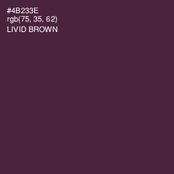 #4B233E - Livid Brown Color Image