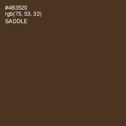 #4B3520 - Saddle Color Image