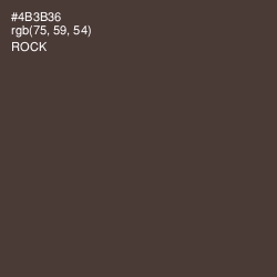 #4B3B36 - Rock Color Image