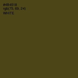 #4B4518 - Bronzetone Color Image