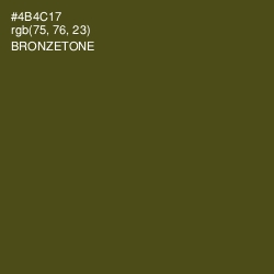 #4B4C17 - Bronzetone Color Image