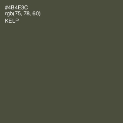 #4B4E3C - Kelp Color Image