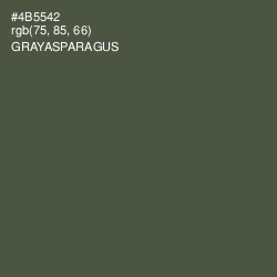 #4B5542 - Gray Asparagus Color Image