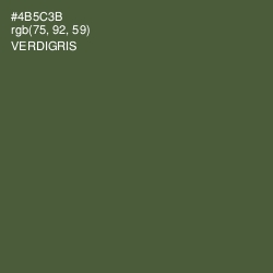 #4B5C3B - Verdigris Color Image