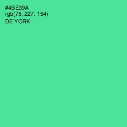 #4BE39A - De York Color Image