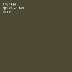 #4C4934 - Kelp Color Image