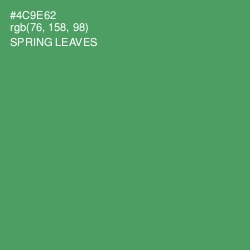 #4C9E62 - Spring Leaves Color Image