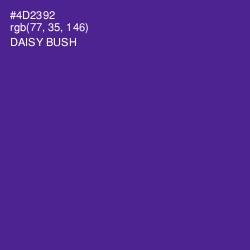 #4D2392 - Daisy Bush Color Image