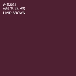 #4E2031 - Livid Brown Color Image