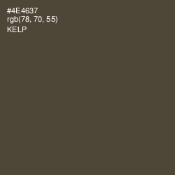 #4E4637 - Kelp Color Image