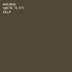 #4E4839 - Kelp Color Image