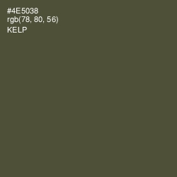 #4E5038 - Kelp Color Image