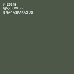 #4E5848 - Gray Asparagus Color Image