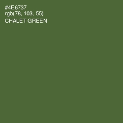 #4E6737 - Chalet Green Color Image