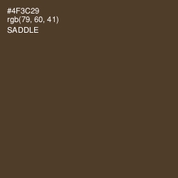 #4F3C29 - Saddle Color Image