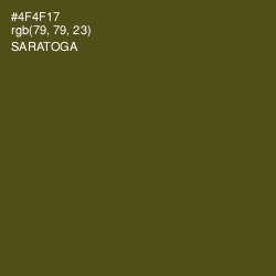 #4F4F17 - Saratoga Color Image