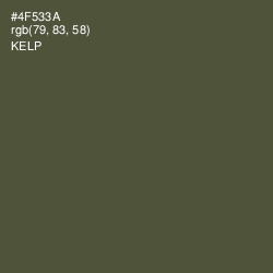 #4F533A - Kelp Color Image