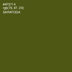#4F5714 - Saratoga Color Image