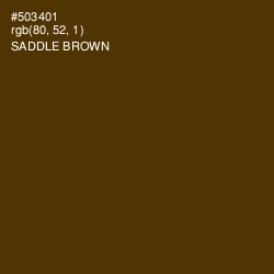 #503401 - Saddle Brown Color Image