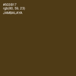 #503B17 - Jambalaya Color Image