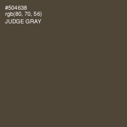 #504638 - Judge Gray Color Image