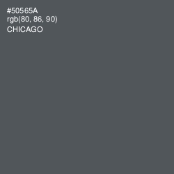#50565A - Chicago Color Image
