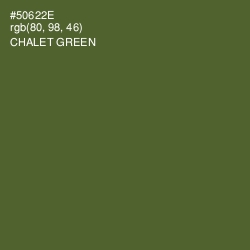 #50622E - Chalet Green Color Image