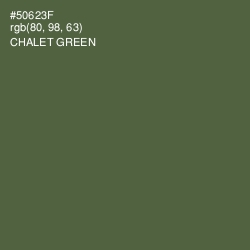 #50623F - Chalet Green Color Image