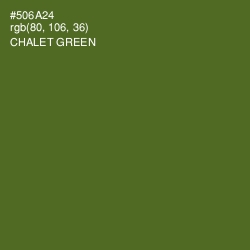 #506A24 - Chalet Green Color Image