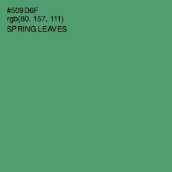 #509D6F - Spring Leaves Color Image
