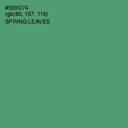 #509D74 - Spring Leaves Color Image