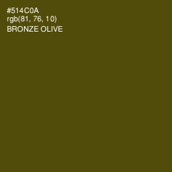 #514C0A - Bronze Olive Color Image