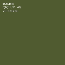 #515B30 - Verdigris Color Image