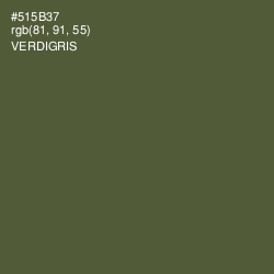 #515B37 - Verdigris Color Image
