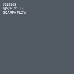 #525B63 - Scarpa Flow Color Image