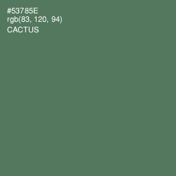 #53785E - Cactus Color Image