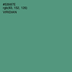#53987E - Viridian Color Image