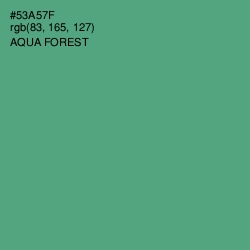 #53A57F - Aqua Forest Color Image