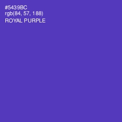 #5439BC - Royal Purple Color Image