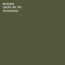 #54583A - Verdigris Color Image