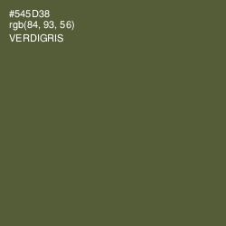 #545D38 - Verdigris Color Image